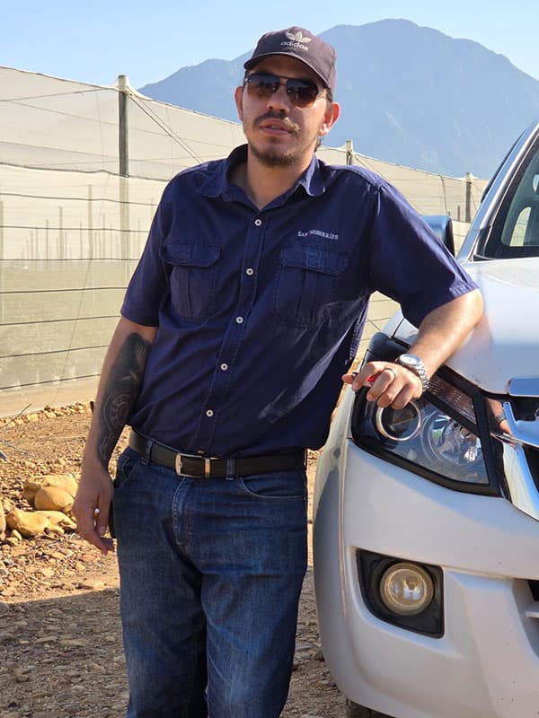 Production manager overseeing farm operations in the Cape Winelands