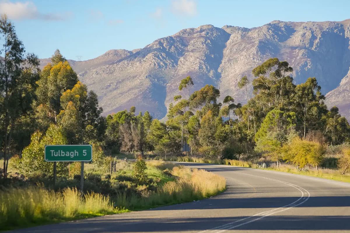 Tulbagh landscape in the Cape Winelands, home of Silent Seed Business Solutions